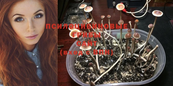 MDMA Premium VHQ Карталы