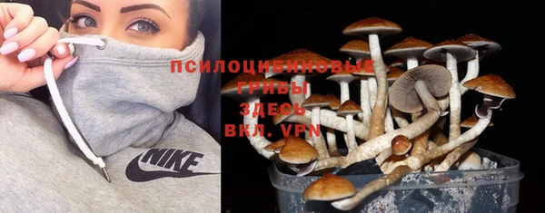 героин Карпинск