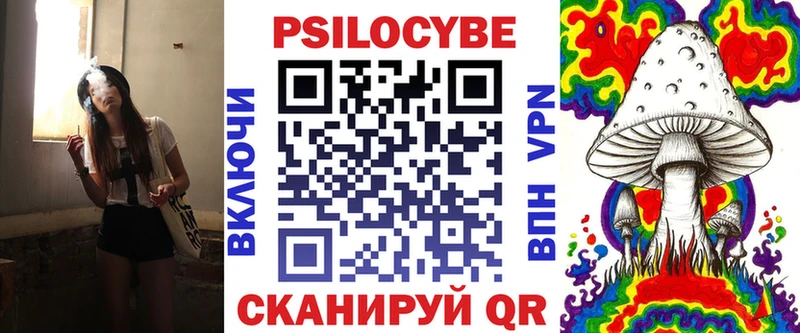 купить наркотик  Элиста  гидра зеркало  Псилоцибиновые грибы мухоморы 